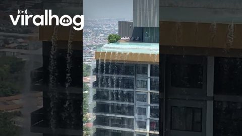 Bangkok Earthquake Splashes Pool Water Over Building Edge || ViralHog