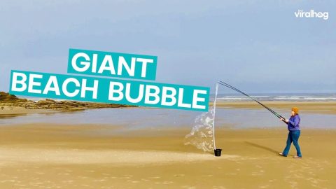 Making Giant Bubbles On The Beach || ViralHog