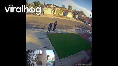 Police Officers Impressed by Perfect Lawn || ViralHog