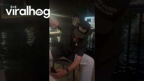 Man Catches Fish at His Restaurant Table || ViralHog