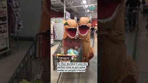Kids In Dinosaur Costumes Go Shopping || ViralHog