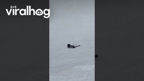 Skiing Father Still Sliding Down Slope || ViralHog