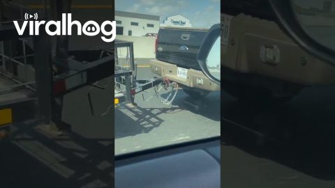 Driver Straps Trailer Securely To Truck || ViralHog