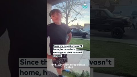 Young Boy Apologises Through Doorbell Camera || ViralHog