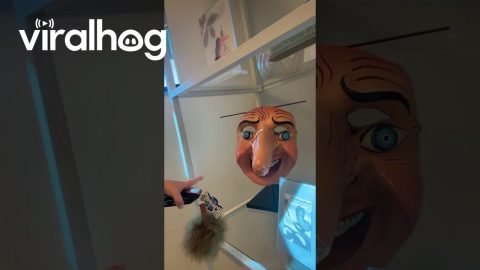 Kid Points At Ugly Mask And Says "Mama" || ViralHog
