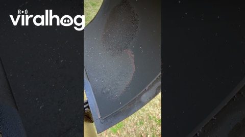 Carbon Buildup From Smoker Burns Off || ViralHog