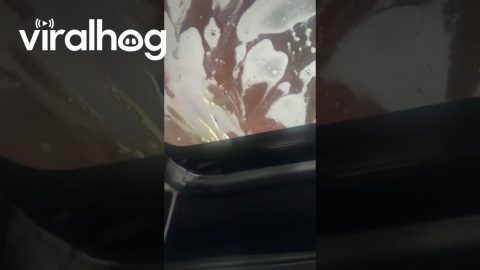 Water Leaks Through Sunroof During Carwash || ViralHog