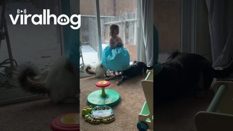 Family Adorably Argues Over Heat Vent || ViralHog
