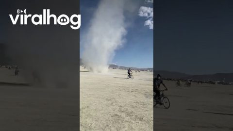 Dust Devil at Burning Man || ViralHog