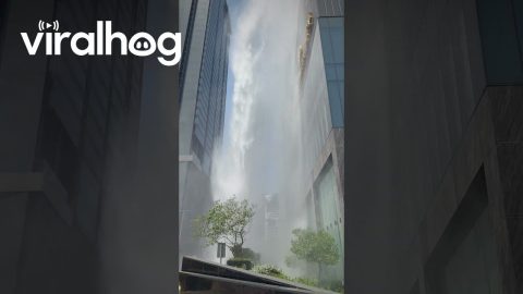 Rooftop Pool Water Crashes Down During Bangkok Earthquake || ViralHog