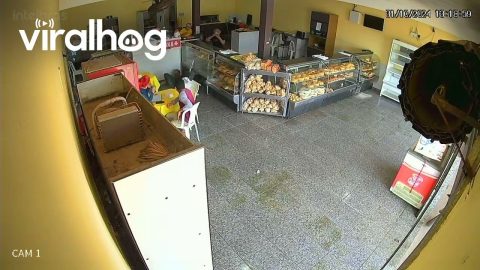 Man Falls Off Chair In Store || ViralHog