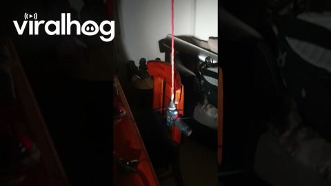Drill Invention To Make Fan Spin || ViralHog