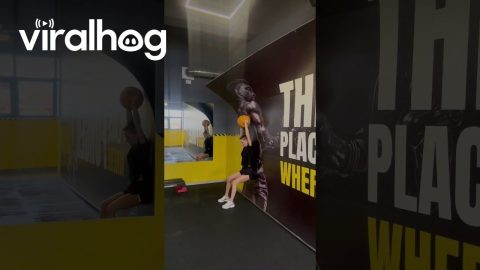 Gym Poster Falls During Workout || ViralHog