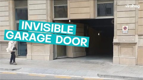 Invisible Garage Door Blends Into Building Facade || ViralHog