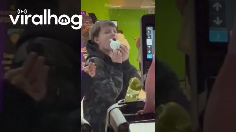 Bro Eats Sandwich And Watches Gym Windows || ViralHog