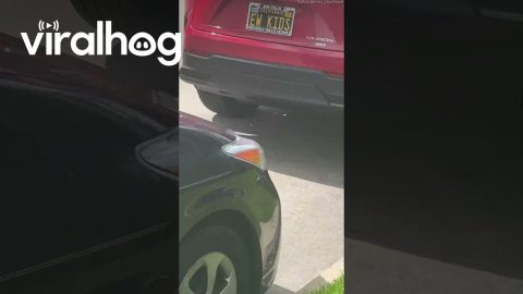 Personalized License Plate Speaks Volumes || ViralHog