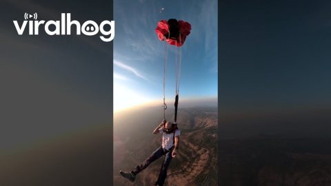 BASE Jump From Powered Paraglider || ViralHog