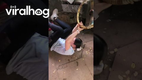 Stuck Steering Wheel Decides To Turn || ViralHog