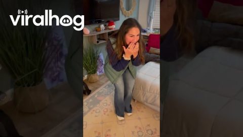 Happy Tippy Taps At Parent's Surprise Visit || ViralHog