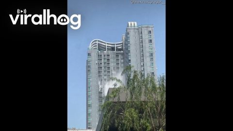 Pool Water Sloshes Over Building As Earthquake Shakes Thailand || ViralHog