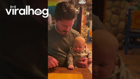 Cleverly Decoding Fine Motor Control || ViralHog