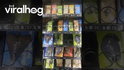 Fossil Vending Machine || ViralHog