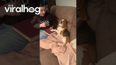 When Dad Makes You Swear You Won’t Be Bad || ViralHog
