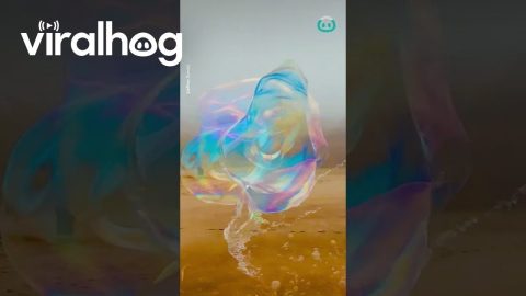View From Inside A Giant Soap Bubble || ViralHog