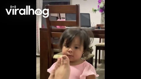 Toddler Reacts To Smelly Foot || ViralHog