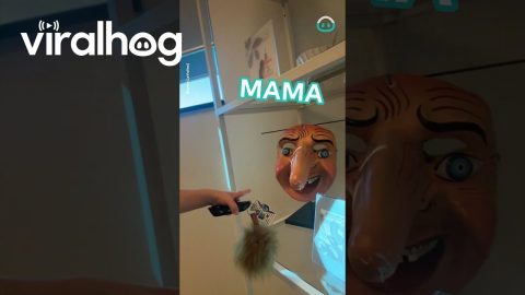 Children They Really Are Your Worst Critics || ViralHog