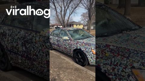 Trio Of Sticker Cars || ViralHog