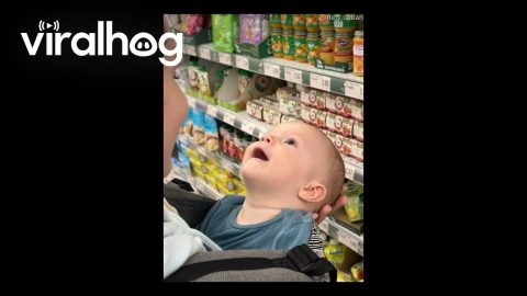 Son Stares At Mother With Pure Love || ViralHog
