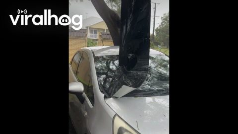 Gutter Stuck Through Windshield After Cyclone Alfred || ViralHog