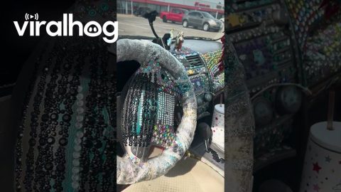 Interior Of Sticker Car Also Stickered || ViralHog
