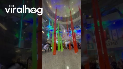 Indoor Skydiving Race In Abu Dhabi || ViralHog