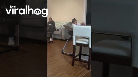 Father Plays Highchair Game With Daughter || ViralHog
