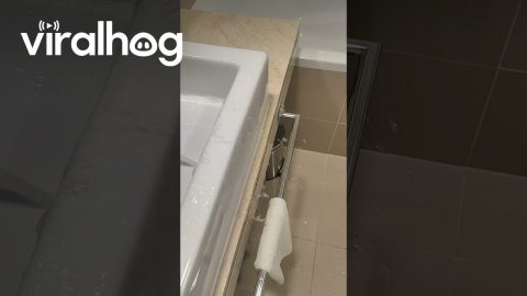 Hotel Sink Sprays Water Over Basin || ViralHog