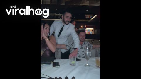 Man Accidentally Claps Birthday Dessert Out Of Server's Hands || ViralHog