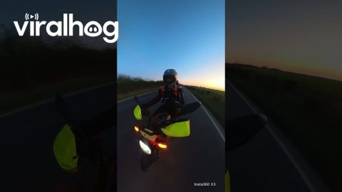 Motorcycle Rider Has Close Call With Pheasant || ViralHog