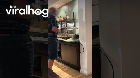 Hotel Toast Maker Plops Food On Floor || ViralHog