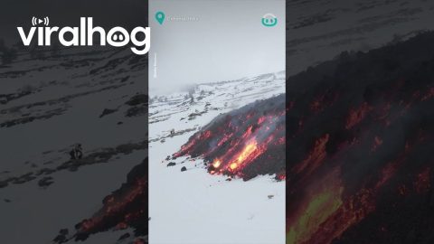 Lava Flow Advances Slowly Through The Snow || ViralHog