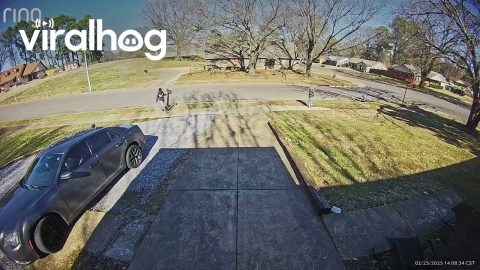 SUV Runs Over Mailbox || ViralHog