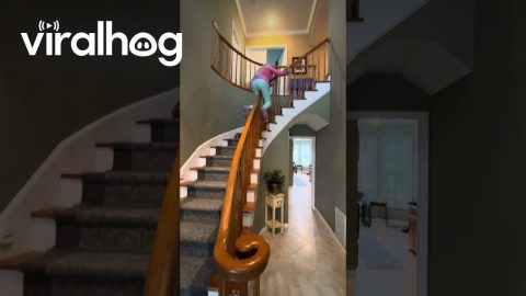 Playful Nan Slides Backward Down Banister || ViralHog