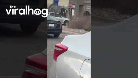 Personalized License Plate Has Hidden Message || ViralHog