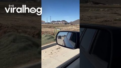 Windstorm Collapsed Homes Under Construction || ViralHog