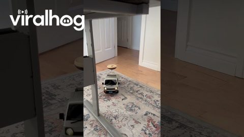 Toy Car Delivers Espresso Martini || ViralHog