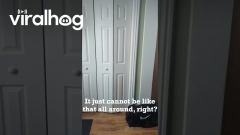 Historic Storm Buries Home Up To Door Knobs In Snow || ViralHog
