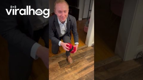 Man Proposes To The Dog Too || ViralHog