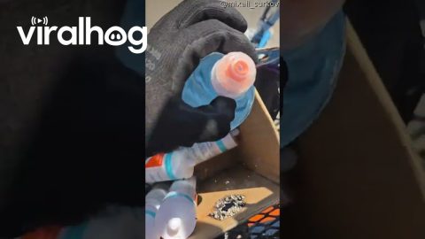 Sunlight Through Water Bottle Burns Hole In Box || ViralHog