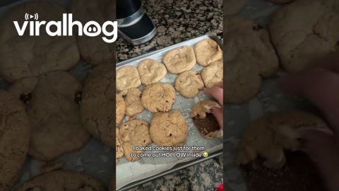 Chocolate Chip Cookies Come Out Hollow || ViralHog